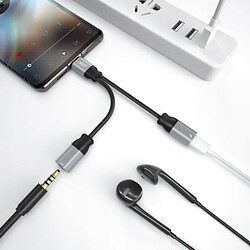 GUPBOO Adaptateur Audio TYPE-C - Jack 3.5mm + USB-C NBR160B,JL2160