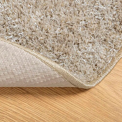 Acheter vidaXL Tapis ISTAN à poils longs aspect brillant beige Ø 120 cm