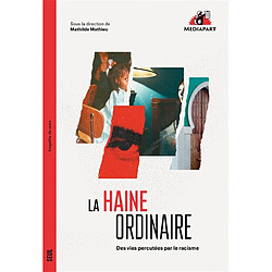 La haine ordinaire : des vies percutées par le racisme
