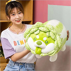 Universal Mignon légume chien peluche jouet créatif chou chinois shiba chien oreiller animal peluche canapé coussin bébé cadeau