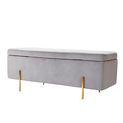 Vente-Unique Banc coffre en velours HERVE - Gris clair