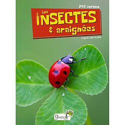 Les insectes & araignées