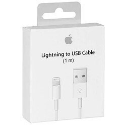 Apple MD818 Câble Lightning Original - 1m - Blanc (Blister)