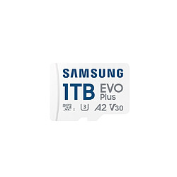 Samsung EVO Plus 1 To 2024