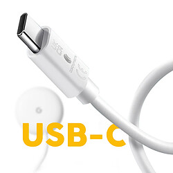 Câble magnétique original USB-C pour Google Pixel Watch Blanc 1m pas cher