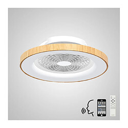 Avis Luminaire Center Plafonnier ventilateur Tibet Effet blanc,bois 1 ampoule 20cm