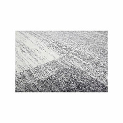 Avis Paris Prix Tapis à Poils Courts Tissé Falkland II Argent 200 x 290 cm