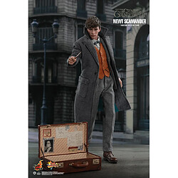 Hot Toys MMS512 - Fantastic Beasts : The Crimes Of Grindelwald - Newt Scamander Standard Version pas cher