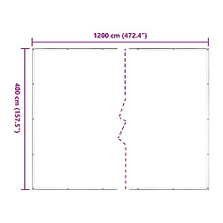 Acheter vidaXL Bâche transparente avec œillets 4x12 m polyéthylène