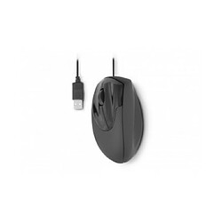 Urban Factory Ergo souris Gauche USB Type-A Optique 2400 DPI