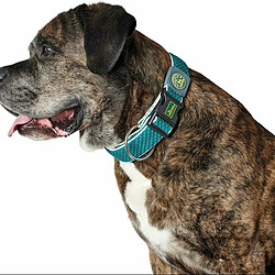 Collier pour Chien Hunter Plus Fil Turquoise 11