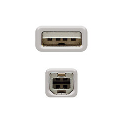 Avis Câble USB 2.0 NANOCABLE Beige