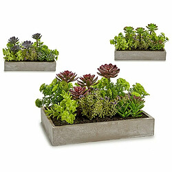 Avis Ibergarden Plante décorative Succulent Plastique Ciment 16,5 x 20 x 28,5 cm (6 Unités)