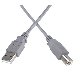 Avis Gembird CC-USB2-AMBM-6 câble USB 1,82 m USB A USB B - Câbles USB (1,82 m, USB A, USB B)