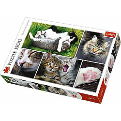 Trefl- Katzensachen 1500 Teile, Collage, Premium Quality, für Erwachsene und Kinder AB 12 Jahren Puzzle, TR26145, coloré