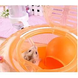 Avis Universal Hamster Cage Outdoor Portable Travel Double Living Room Carrying Plastic | Cage