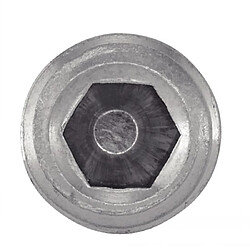 Vis à métaux sans-tête hexagonale creuse bout cuvette inox A2 DIN 916 5X6 boîte de 100 - ACTON - 622075X6