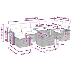 Acheter vidaXL Salon de jardin avec coussins 8 pcs beige résine tressée