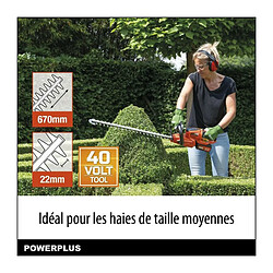 Acheter DUAL POWER Taille-haie Powerplus 67 cm 40 V