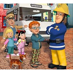 Acheter Trefl Puzzle 10in1 Fireman Sam Meet Sams rescue team