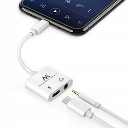 GUPBOO Adaptateur audio Adaptateur mini-jack 3,5 mm USB-C,JL1162