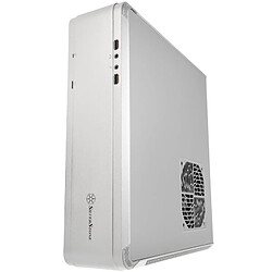 Avis SilverStone Fortress FTZ01-E (argent)