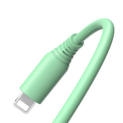 Avis Câble de données en silicone Tellur, USB vers Lightning, 3A, 1m, vert