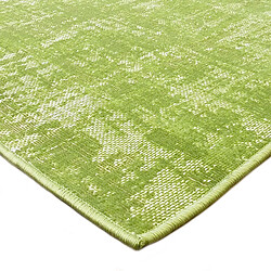 Avis Thedecofactory STELLE - Tapis effet patiné vintage vert 160x230