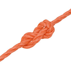 Acheter vidaXL Corde de travail Orange 3 mm 250 m Polypropylène