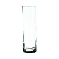 Vase Cylindrique Flora 26cm Transparent