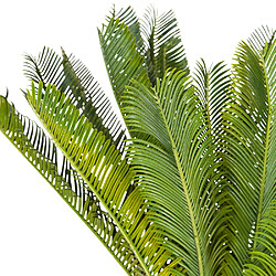 Plante artificielle / Palmier artificiel CYCAS Plastique Vert hjh OFFICE