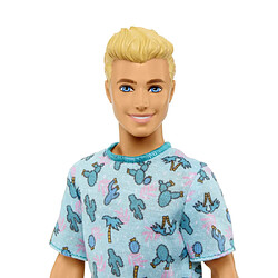 Avis Mattel Barbie Fashionistas ? Poupée Ken