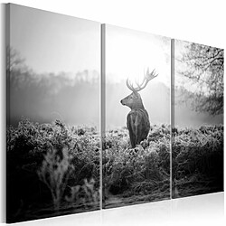 Paris Prix Tableau Imprimé Black & White Deer I 60 x 90 cm