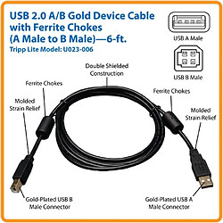 Tripp Lite U023-006 câble USB 1,83 m USB A USB B Noir - Câbles USB (1,83 m, USB A, USB B, 2.0, Male Connector/Male Connector, Noir)