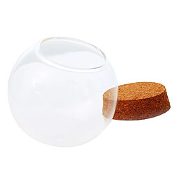 Avis 2xdia 12cm boule de verre en forme de couverture paysage terrarium conteneur couvercle vase