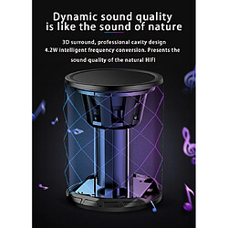 Avis Universal Mini haut-parleur de basse puissant Bluetooth Portable DJ haut-parleur radio FM Subwoofer d'activité extérieur Google Wireless Smart | Haut-parleur portable (noir)