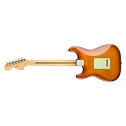 Avis American Performer Stratocaster Honey Burst Fender