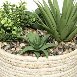 Plante Artificielle Composition 18cm Naturel & Vert