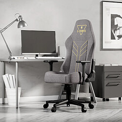 Chaise Gaming - Chaise de jeu - Chaise de bureau d'ordinateur Rattantree avec accoudoir 3D - Chaise de bureau à domicile ergonomique avec support à dossier haut - Chaise de jeu pour enfants adultes - Gris