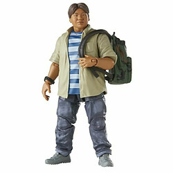 Acheter Figurine d’action Hasbro Legends Series Spider-Man 60th Anniversary Peter Parker & Ned Leeds