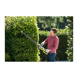 Acheter Taille-haie Ryobi RHT8165RL 800 W 65 cm