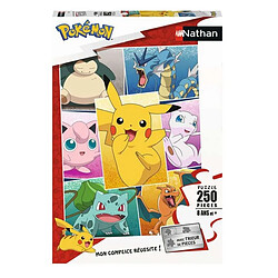 Nathan Puzzle Types de Pokemon 250 pieces