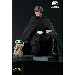 Hot Toys DX22 - Star Wars : The Mandalorian - Luke Skywalker Standard Version pas cher