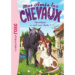 Mes amis les chevaux. Vol. 13. Moustique a mal aux dents ! - Occasion