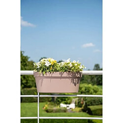 No Name Jardiniere+crochet - GARDEN ID Star - Taupe 50 x 21 cm - Fixation facile - Réserve d'eau - recyclé et 100% recyclable