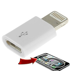 Wewoo Adaptateur blanc pour iPhone 6/6 Plus, 5 / 5S / 5C, Mini iPad / Mini 2 Retina, iPod Touch 5, 4, Nano 7 Mini Mini Lightning Mâle à Micro USB Femelle,