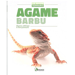 Agame barbu : Pogona vitticeps, P. henrylawsoni - Occasion