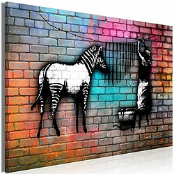 Paris Prix Tableau Imprimé Washing Zebra Colourful Brick Wide 60 x 90 cm