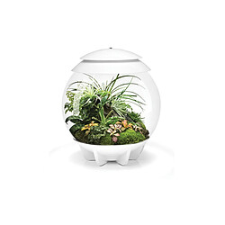 Terrarium automatisé 30l blanc - Air30white - OASE