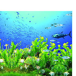 Avis autocollant de décorations murales d'aquarium